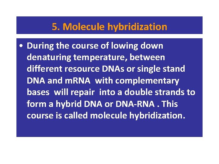 5. Molecule hybridization • During the course of lowing down denaturing temperature, between different