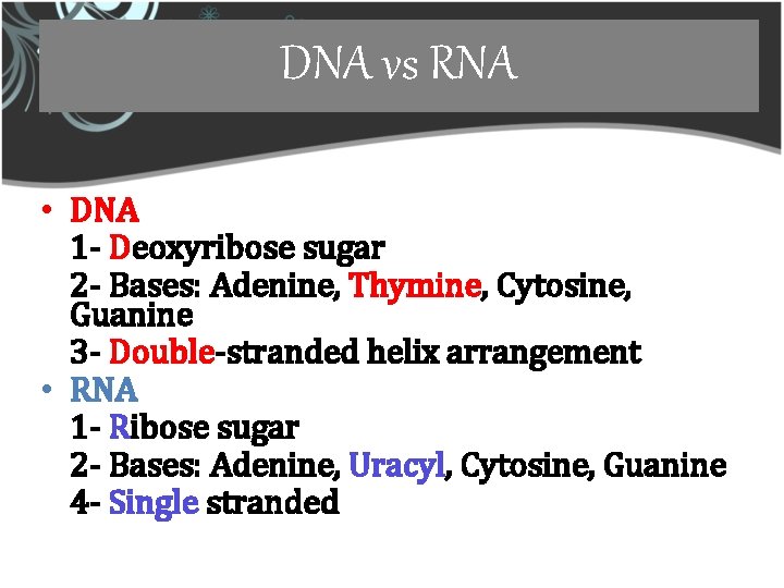 DNA vs RNA • DNA 1 - Deoxyribose sugar 2 - Bases: Adenine, Thymine,