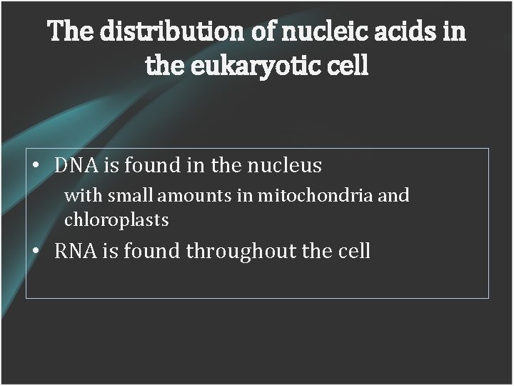 The distribution of nucleic acids in the eukaryotic cell • DNA is found in