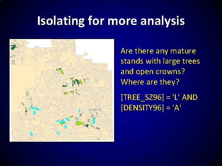 Isolating for more analysis Are there any mature stands with large trees and open