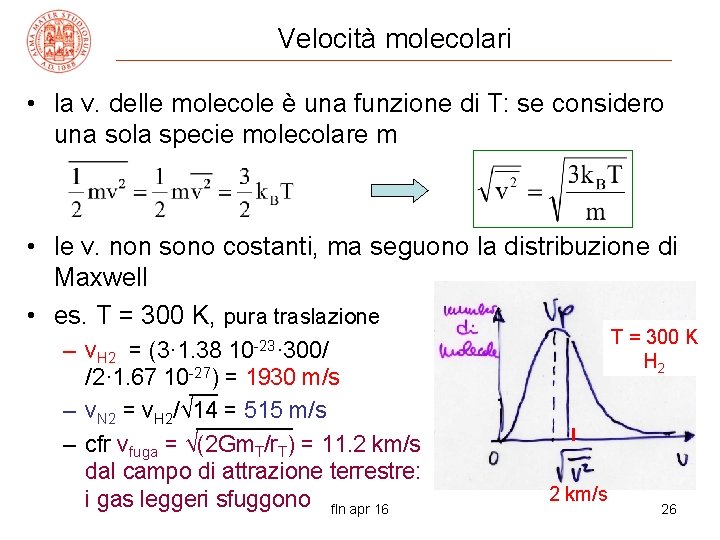 Velocità molecolari • la v. delle molecole è una funzione di T: se considero