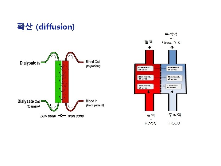 확산 (diffusion) 