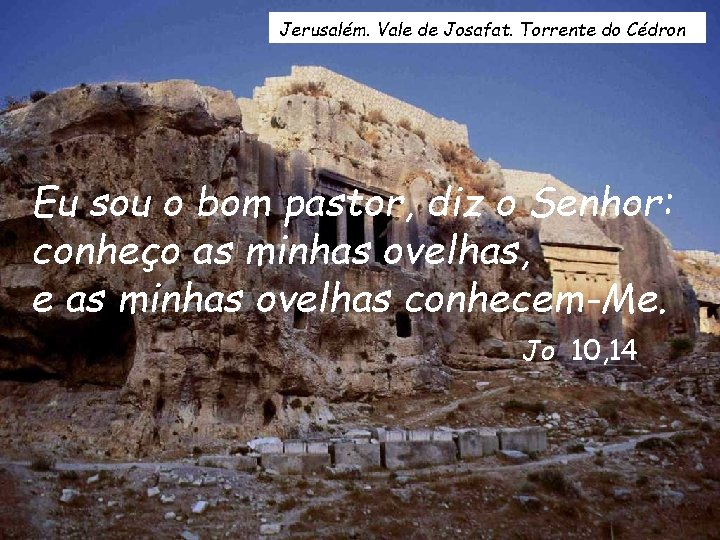 Jerusalém. Vale de Josafat. Torrente do Cédron Eu sou o bom pastor, diz o