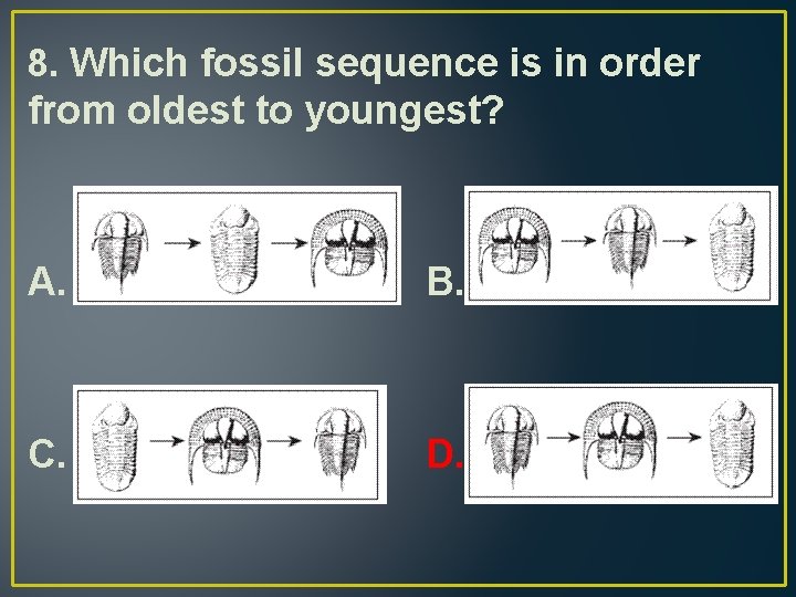 8. Which fossil sequence is in order from oldest to youngest? A. B. C.