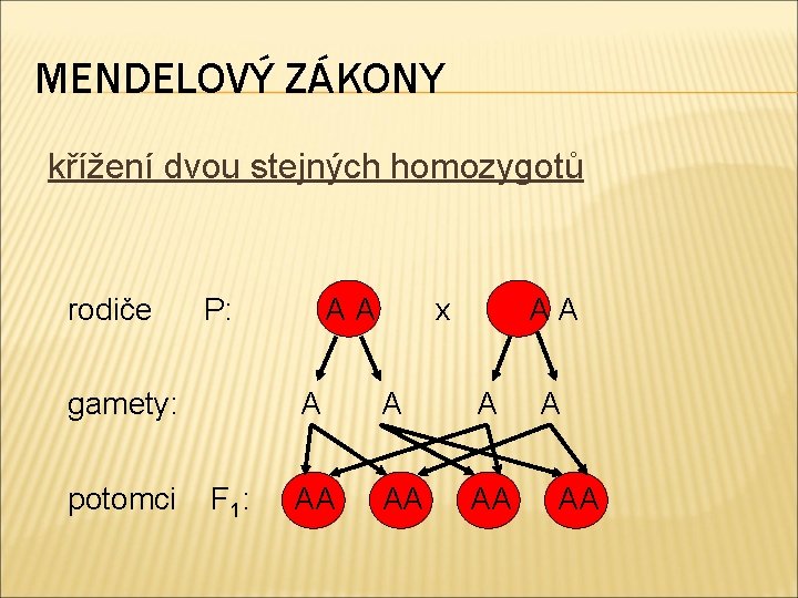 MENDELOVÝ ZÁKONY křížení dvou stejných homozygotů rodiče P: gamety: potomci F 1: AA x