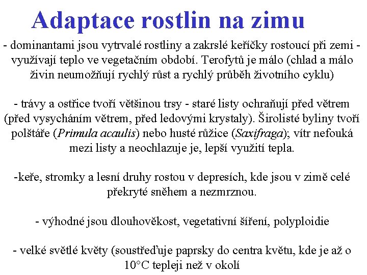 Adaptace rostlin na zimu - dominantami jsou vytrvalé rostliny a zakrslé keříčky rostoucí při