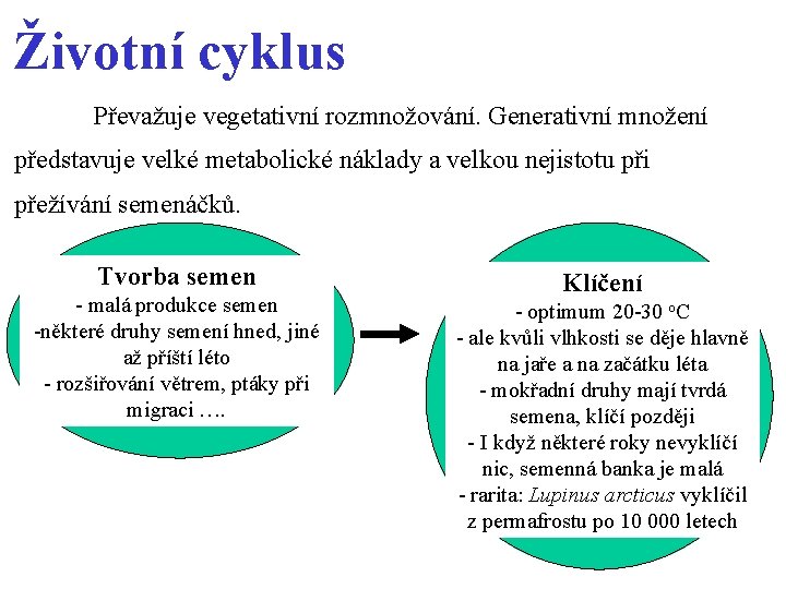 Životní cyklus Převažuje vegetativní rozmnožování. Generativní množení představuje velké metabolické náklady a velkou nejistotu