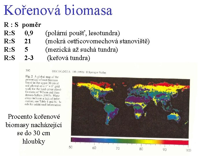 Kořenová biomasa R: S R: S poměr 0, 9 21 5 2 -3 (polární