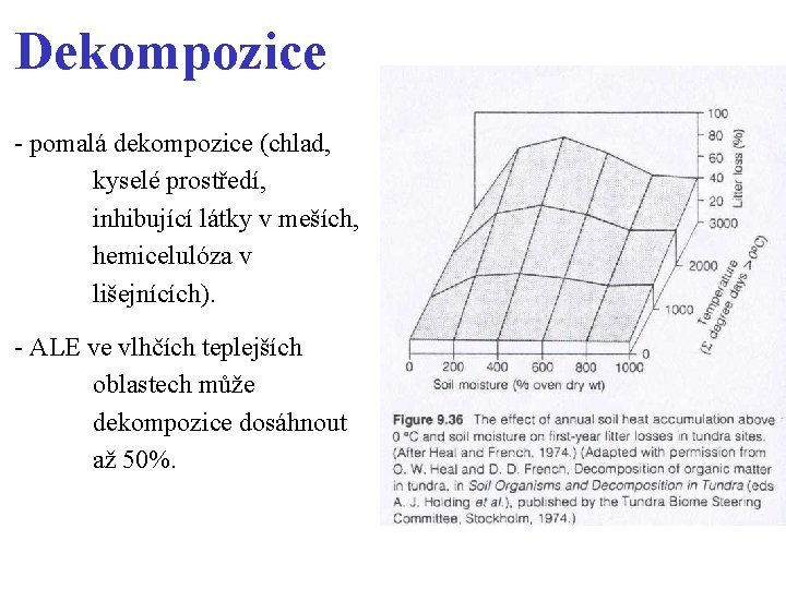 Dekompozice - pomalá dekompozice (chlad, kyselé prostředí, inhibující látky v meších, hemicelulóza v lišejnících).