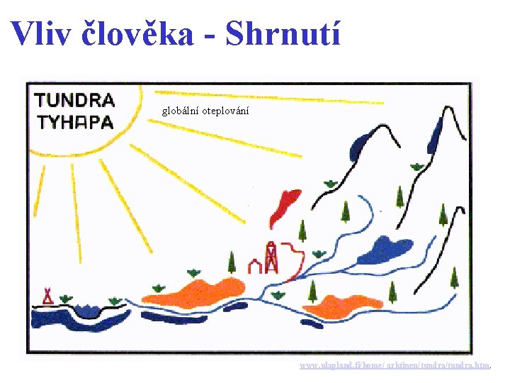 Vliv člověka - Shrnutí globální oteplování www. ulapland. fi/home/ arktinen/tundra. htm. 