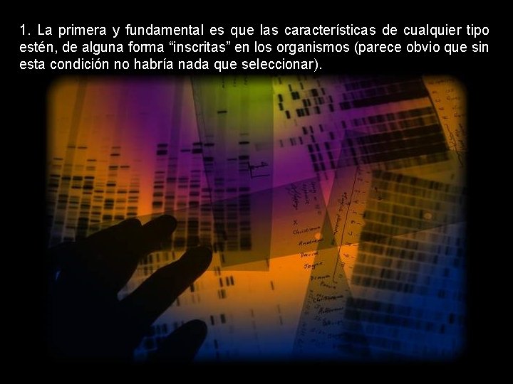 1. La primera y fundamental es que las características de cualquier tipo estén, de