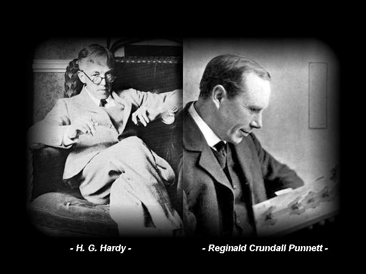 - H. G. Hardy - - Reginald Crundall Punnett - 