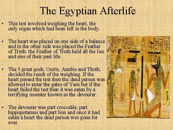 The Egyptian Afterlife • This test involved weighing the heart, the only organ which