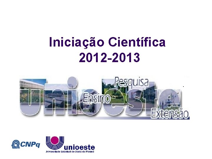 Iniciação Científica 2012 -2013 