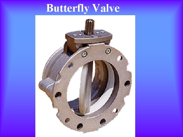 Butterfly Valve 