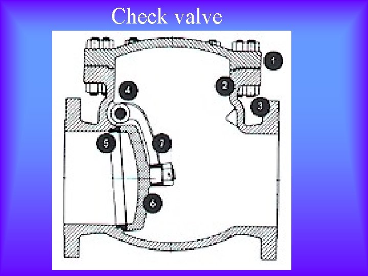 Check valve 