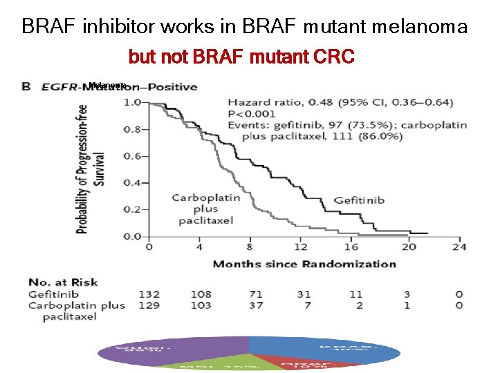 BRAF inhibitor works in BRAF mutant melanoma but not BRAF mutant CRC Melanoma 