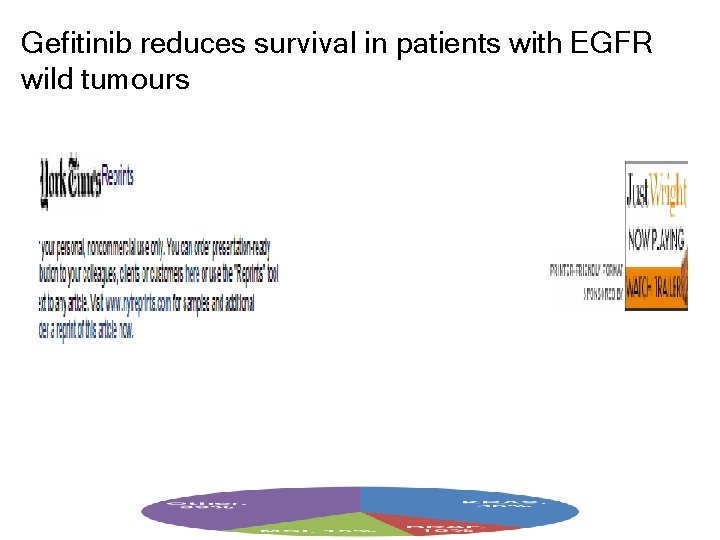 Gefitinib reduces survival in patients with EGFR wild tumours 