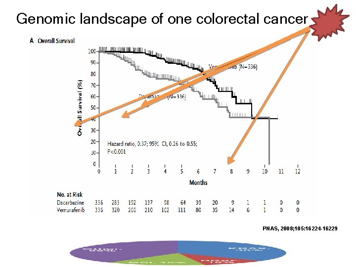 Genomic landscape of one colorectal cancer PNAS, 2008; 105: 16224 -16229 