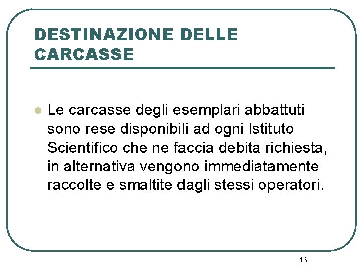 DESTINAZIONE DELLE CARCASSE l Le carcasse degli esemplari abbattuti sono rese disponibili ad ogni