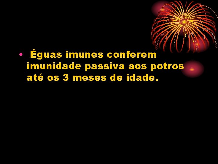  • Éguas imunes conferem imunidade passiva aos potros até os 3 meses de