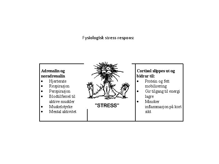 Fysiologisk stress respons: Adrenalin og noradrenalin Hjerterate Respirasjon Perspirasjon Blodtilførsel til aktive muskler Muskelstyrke