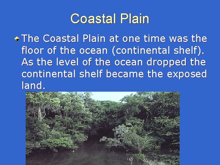 Coastal Plain The Coastal Plain at one time was the floor of the ocean Coastal Plain The Coastal Plain at one time was the floor of the ocean