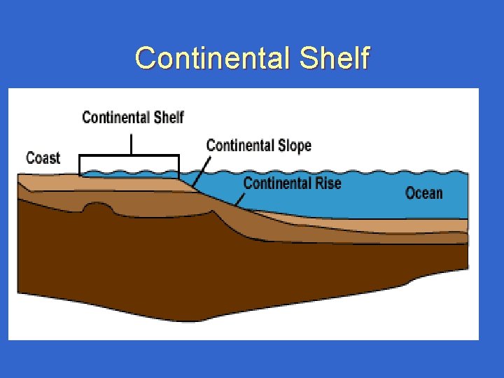 Continental Shelf Continental Shelf
