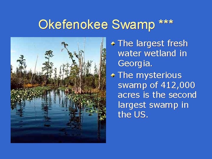 Okefenokee Swamp *** The largest fresh water wetland in Georgia. The mysterious swamp of Okefenokee Swamp *** The largest fresh water wetland in Georgia. The mysterious swamp of