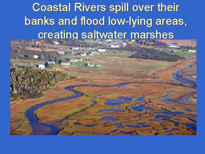 Coastal Rivers spill over their banks and flood low-lying areas, creating saltwater marshes Coastal Rivers spill over their banks and flood low-lying areas, creating saltwater marshes
