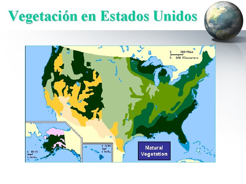 Vegetación en Estados Unidos 