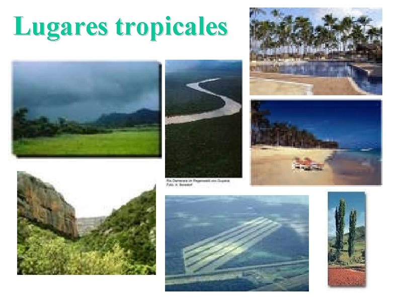 Lugares tropicales 