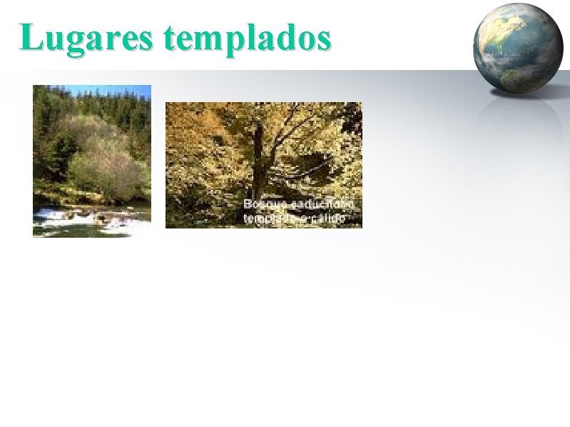 Lugares templados 