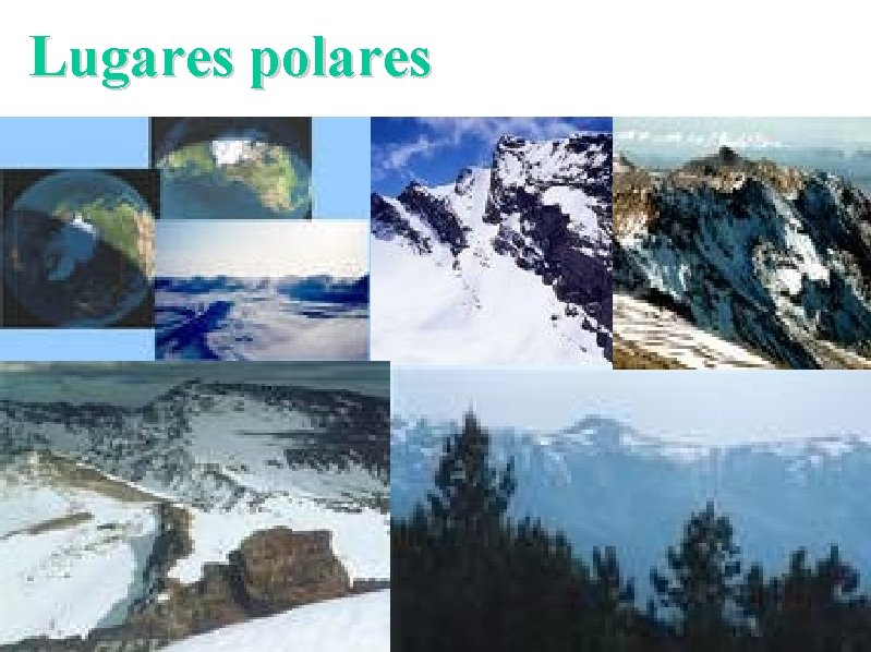 Lugares polares 