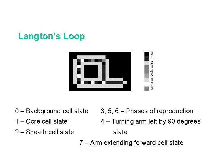 Langton’s Loop 0 – Background cell state 3, 5, 6 – Phases of reproduction