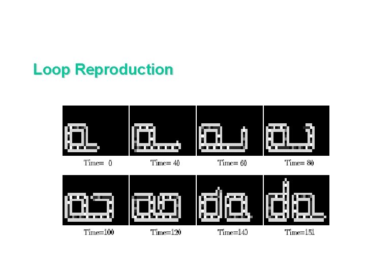 Loop Reproduction 