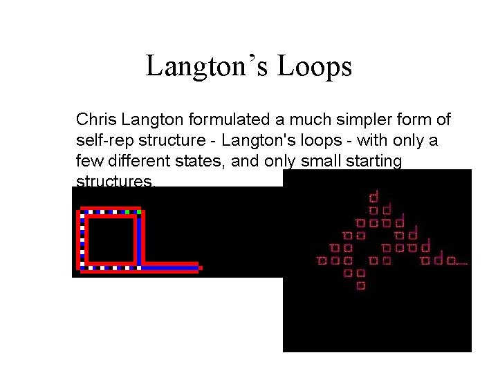 Langton’s Loops Chris Langton formulated a much simpler form of self-rep structure - Langton's