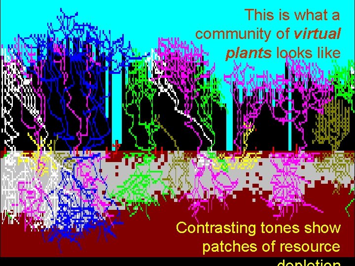 This is what a community of virtual plants looks like Community image Contrasting tones