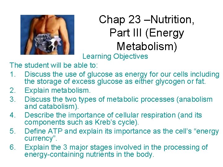 Chap 23 –Nutrition, Part III (Energy Metabolism) Learning Objectives The student will be able