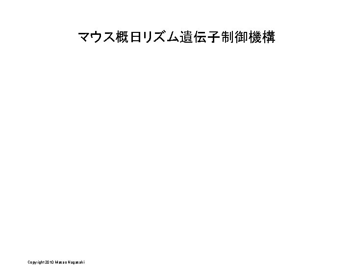 マウス概日リズム遺伝子制御機構 Copyright 2010 Masao Nagasaki 