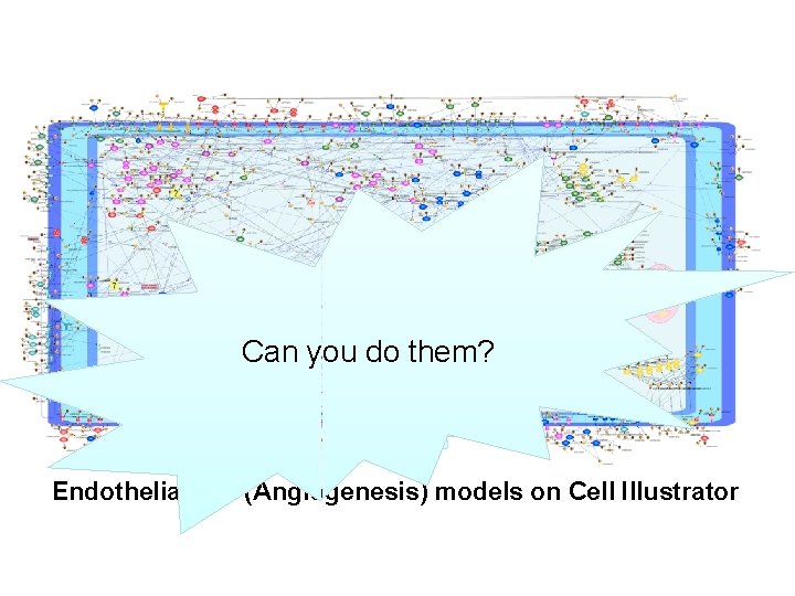 Can you do them? Endothelial cell (Angiogenesis) models on Cell Illustrator 