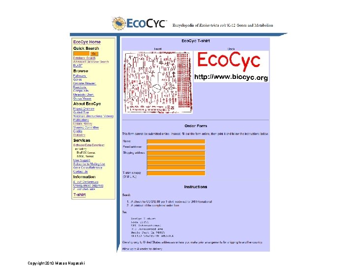Copyright 2010 Masao Nagasaki 