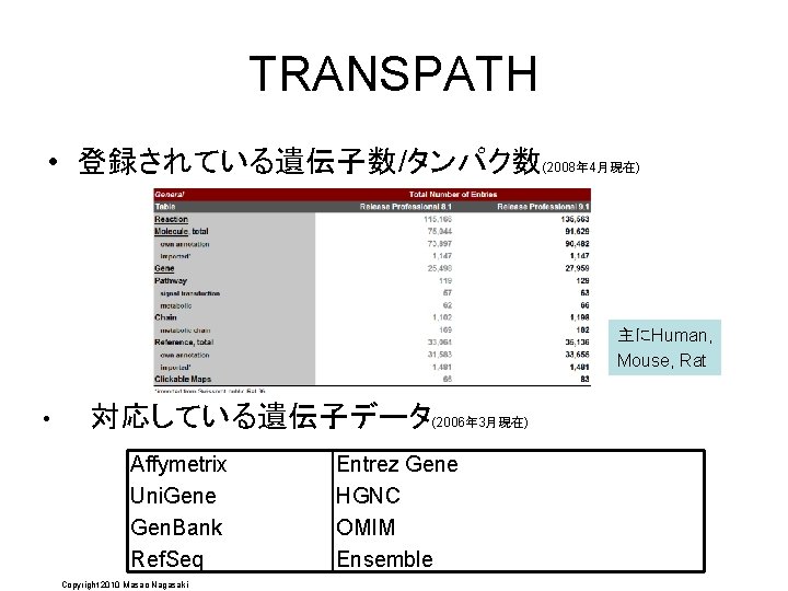 TRANSPATH • 登録されている遺伝子数/タンパク数(2008年 4月現在) 主にHuman, Mouse, Rat • 対応している遺伝子データ(2006年 3月現在) Affymetrix Uni. Gene Gen.