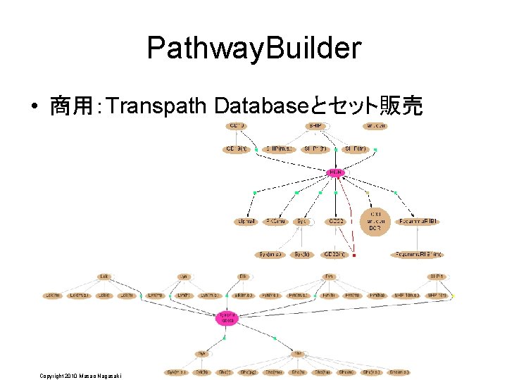 Pathway. Builder • 商用：Transpath Databaseとセット販売 Copyright 2010 Masao Nagasaki 