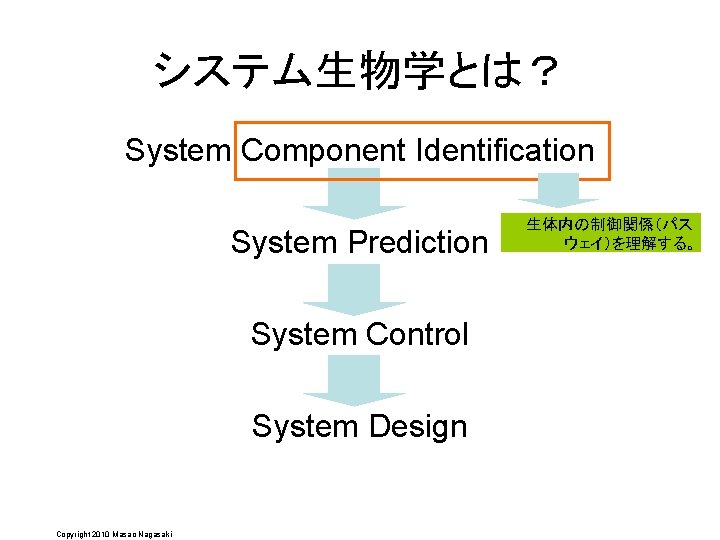 システム生物学とは？ System Component Identification System Prediction System Control System Design Copyright 2010 Masao Nagasaki