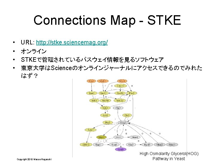 Connections Map - STKE • • URL: http: //stke. sciencemag. org/ オンライン STKEで管理されているパスウェイ情報を見るソフトウェア 東京大学はScienceのオンラインジャーナルにアクセスできるのでみれた