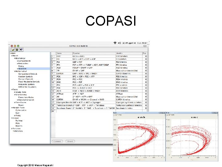 COPASI Copyright 2010 Masao Nagasaki 