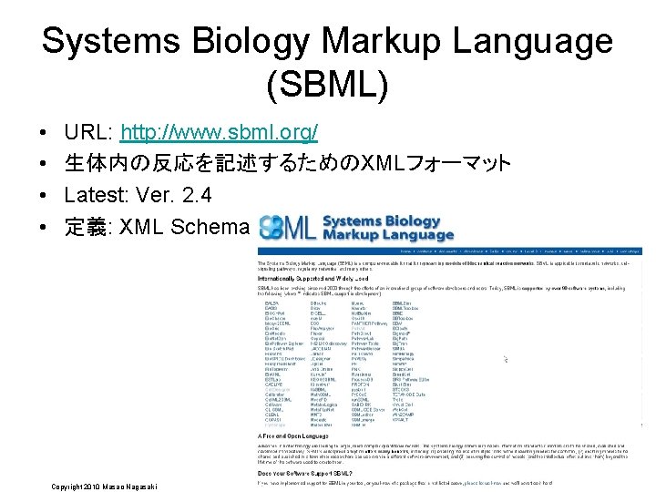 Systems Biology Markup Language (SBML) • • URL: http: //www. sbml. org/ 生体内の反応を記述するためのXMLフォーマット Latest: