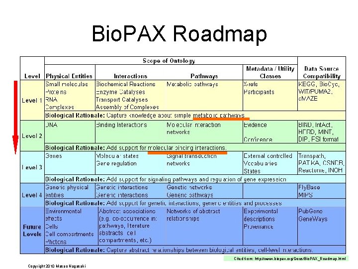 Bio. PAX Roadmap Cited from: http: //www. biopax. org/Docs/Bio. PAX_Roadmap. html Copyright 2010 Masao