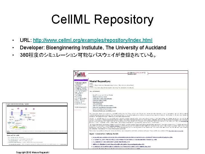 Cell. ML Repository • • • URL: http: //www. cellml. org/examples/repository/index. html Developer: Bioenginnering